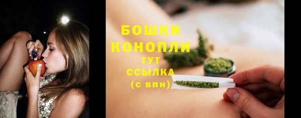 трава Почеп