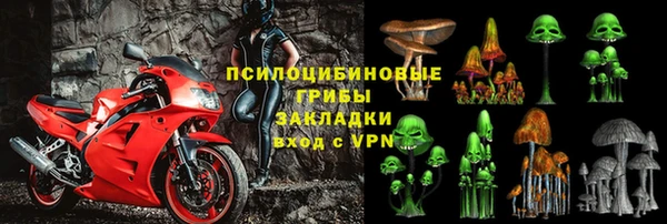 ешки Нея