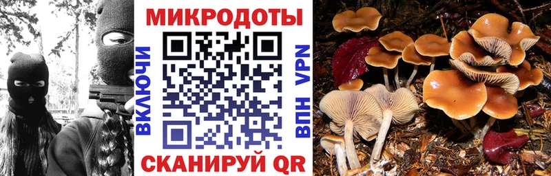 купить наркотики сайты Шлиссельбург Псилоцибиновые грибы мухоморы